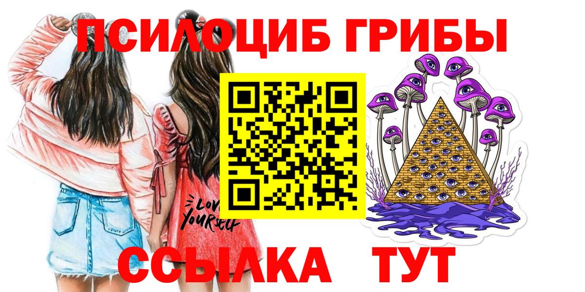 Галлюциногенные грибы Cubensis  Вход с VPN  Кировск  купить   Псилоцибиновые грибы мицелий 